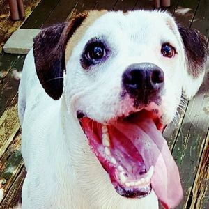 Meet your Posher, Diane